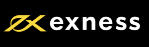 Exness会社ロゴ